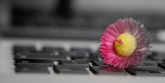 Shortcuts finden und erstellen