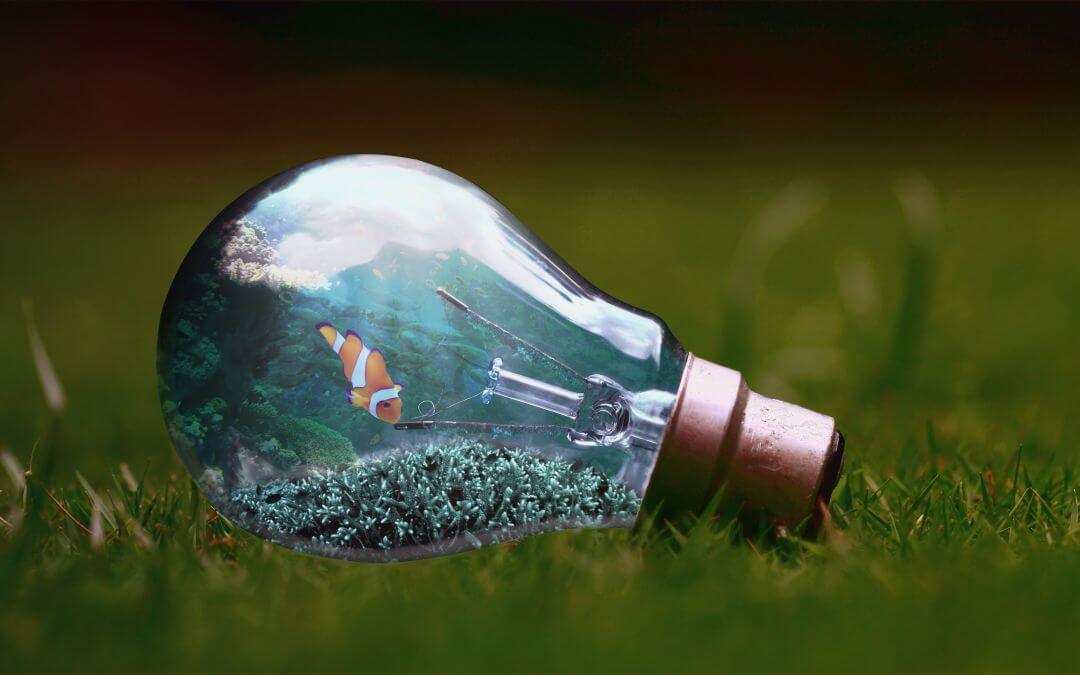 GIMP – leistungsstarke und kostenlose Alternative zu Adobe Photoshop